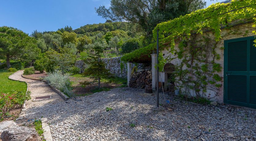 Photo of Sunshine Sonata