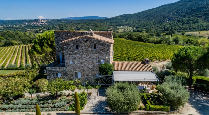 Photo of The Champagne Rose