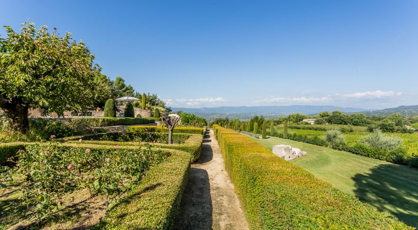 Photo of The Champagne Rose