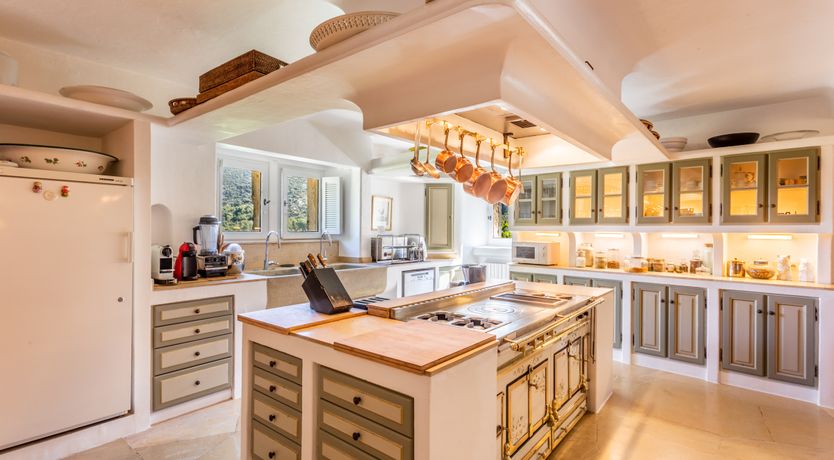 Photo of The Champagne Rose