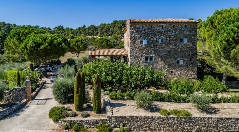 Photo of The Champagne Rose