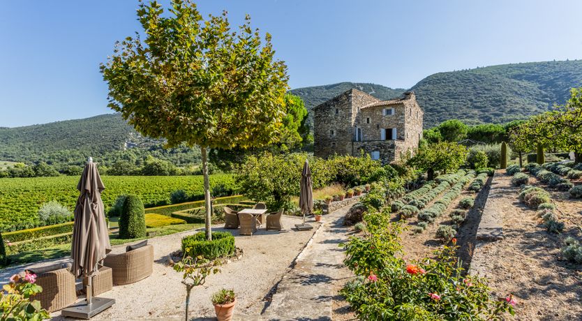 Photo of The Champagne Rose