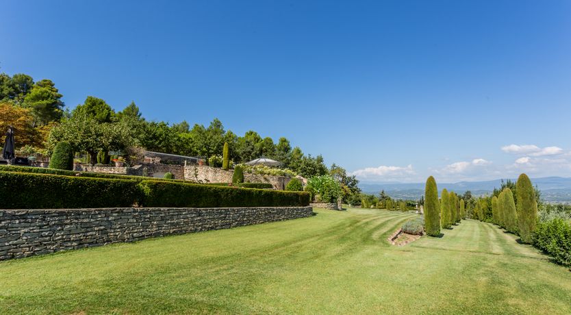 Photo of The Champagne Rose