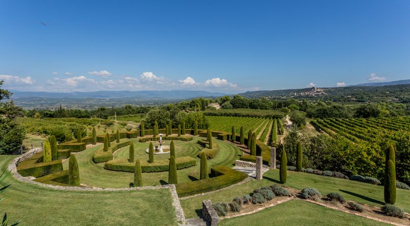 Photo of The Champagne Rose