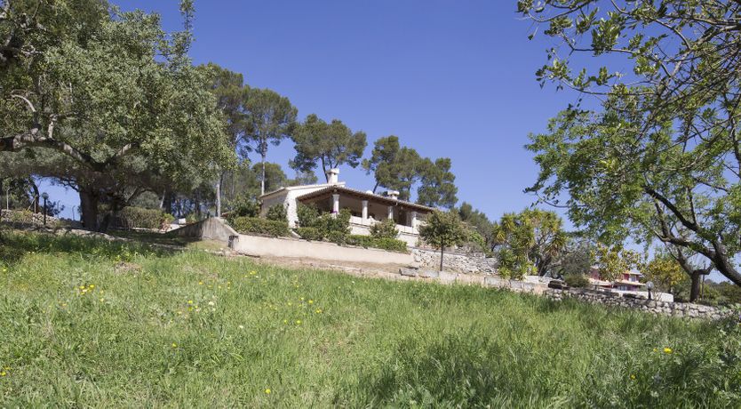 Photo of Trail to Inca