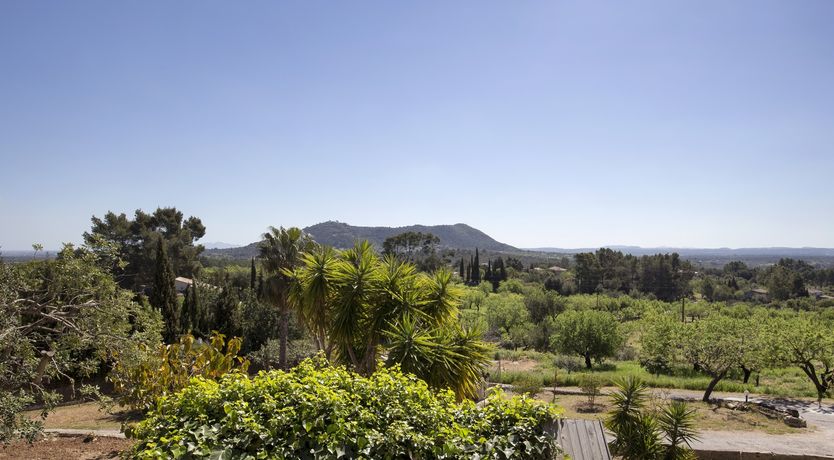 Photo of Trail to Inca