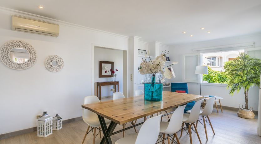 Photo of Musa del Mar