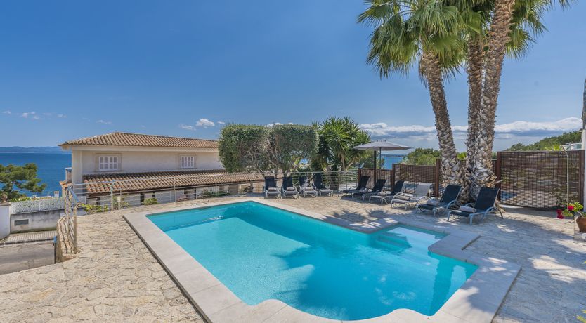 Photo of Musa del Mar