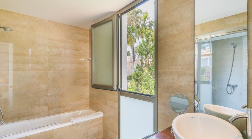 Photo of Musa del Mar