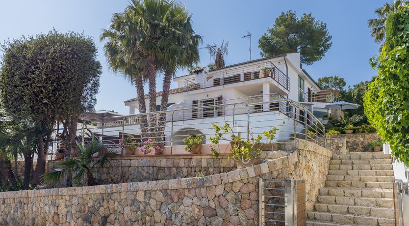 Photo of Musa del Mar