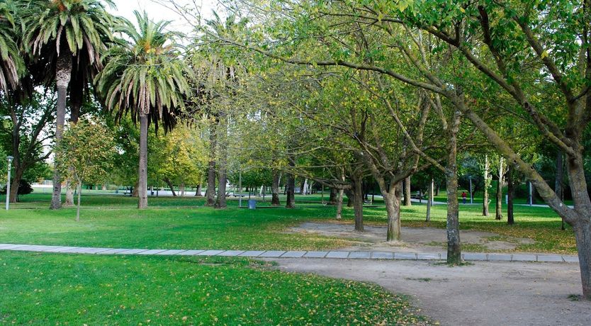 Photo of A Savour of Summer