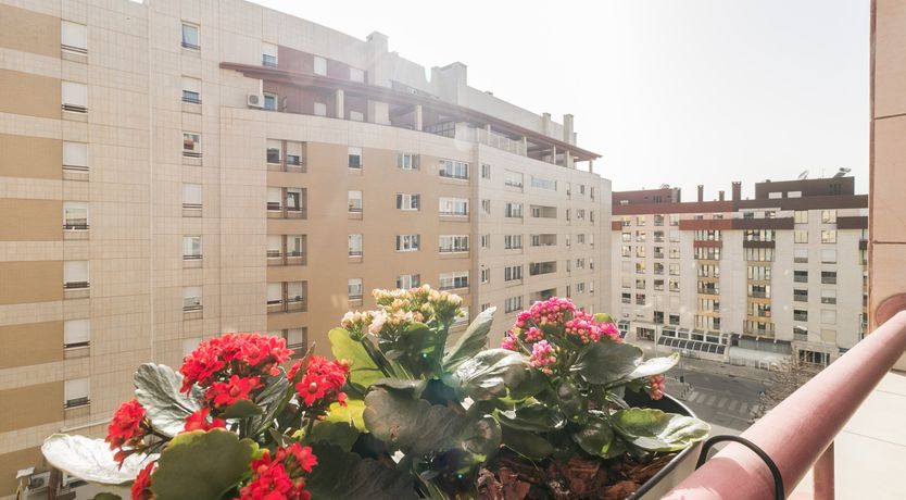 Photo of A Savour of Summer