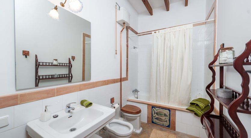 Photo of Palm Trees & Church Bells