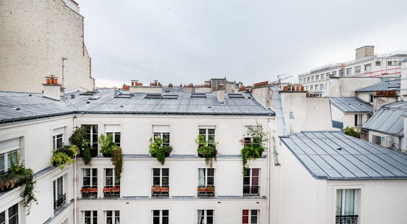 Photo of The City Botanist