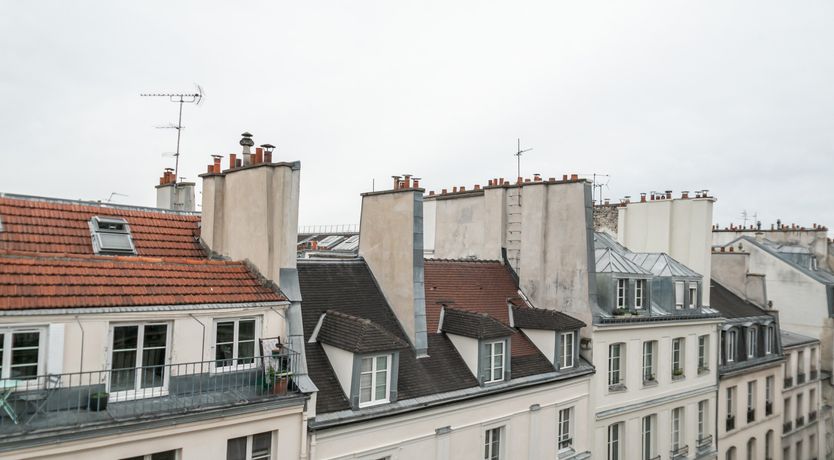 Photo of The City Botanist