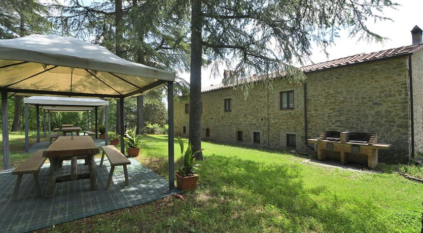 Photo of Pines & Wine