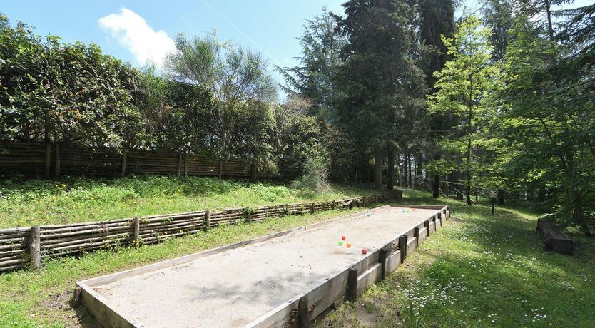 Photo of Pines & Wine