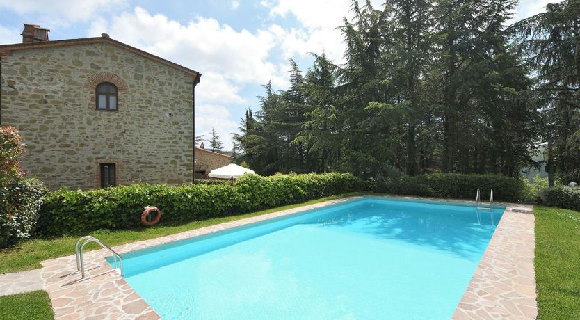 Photo of Pines & Wine