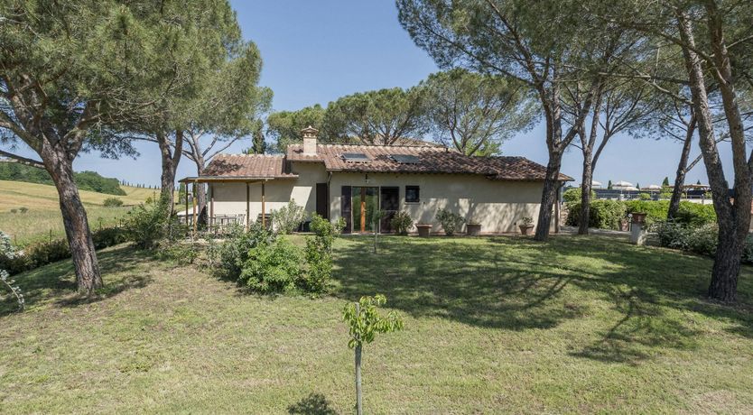 Photo of Terracotta Daze