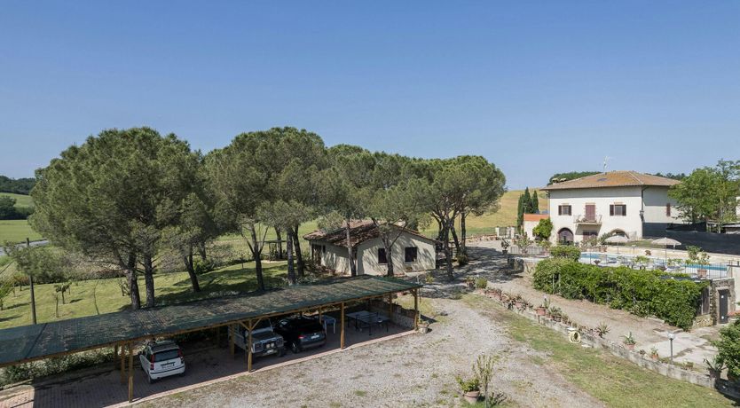 Photo of Terracotta Daze