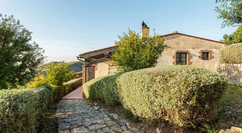 Photo of Let the Joy in