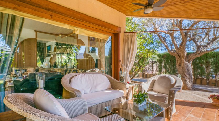 Photo of All the Frills