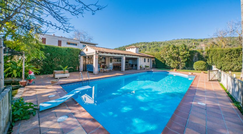 Photo of All the Frills