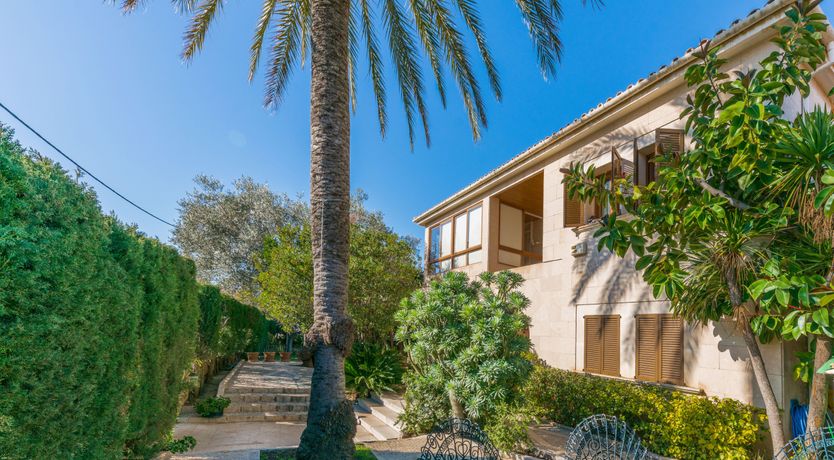 Photo of All the Frills