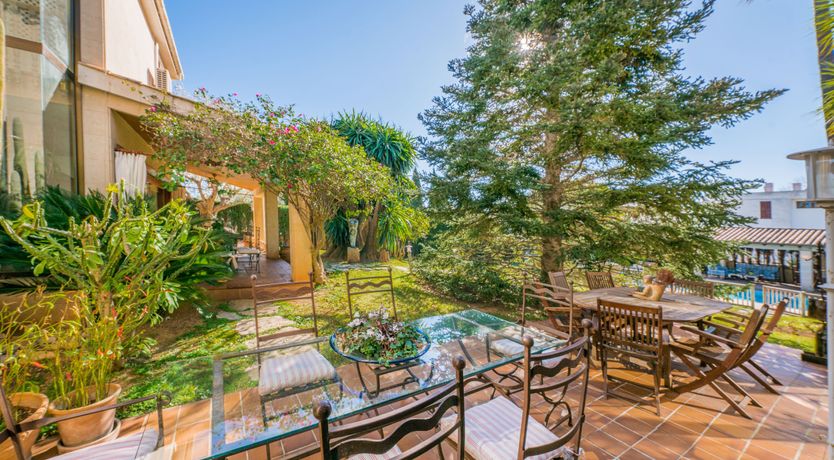 Photo of All the Frills