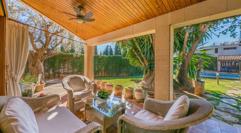 Photo of All the Frills