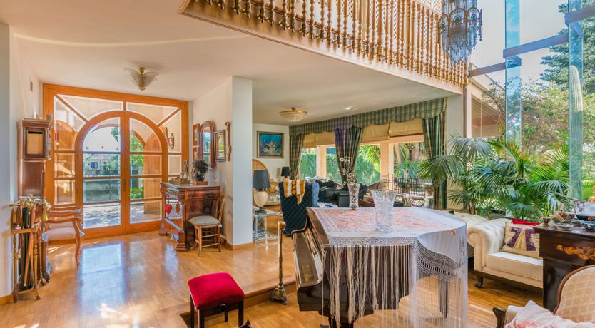 Photo of All the Frills