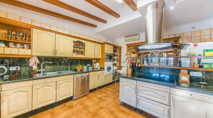 Photo of All the Frills