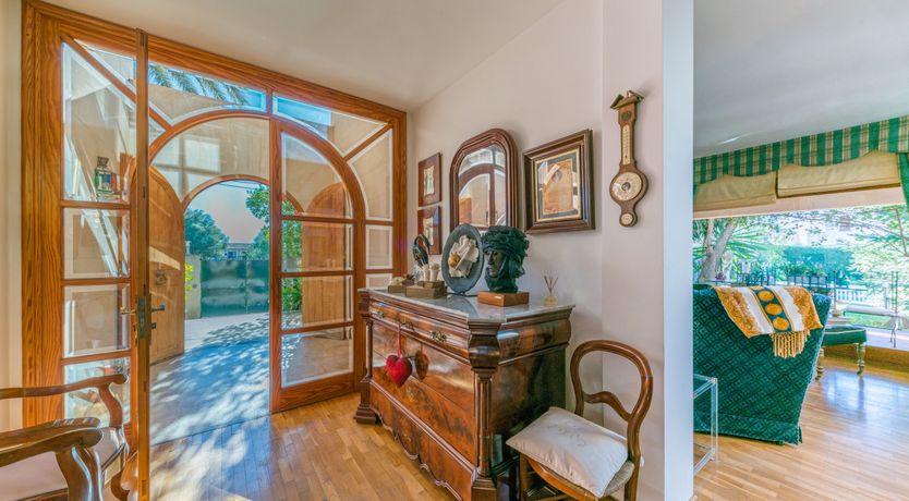 Photo of All the Frills