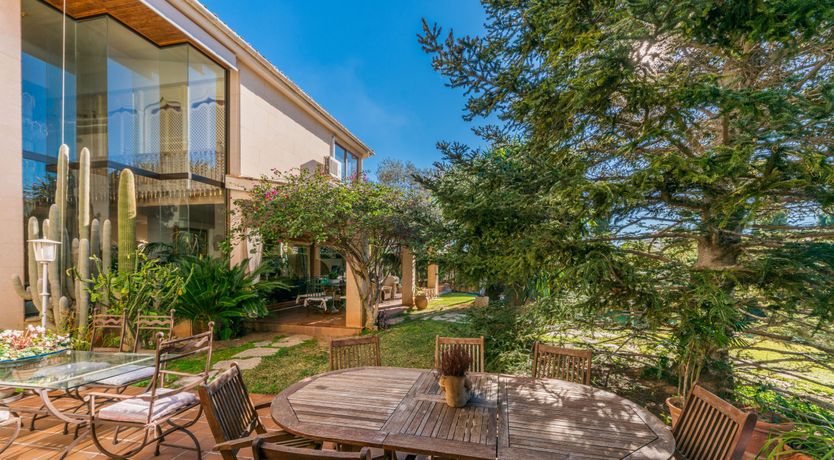 Photo of All the Frills