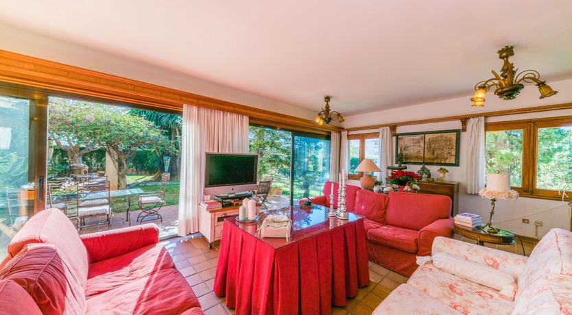 Photo of All the Frills