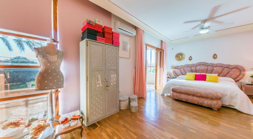 Photo of All the Frills