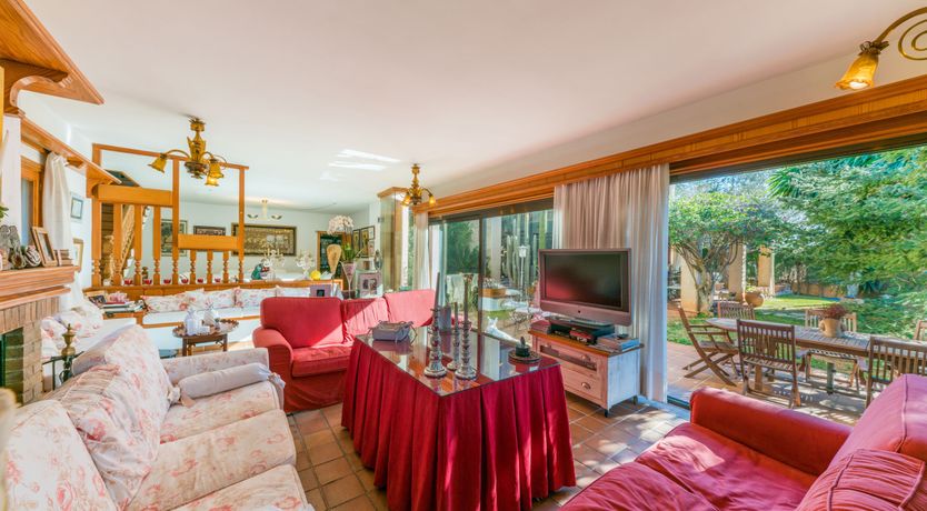 Photo of All the Frills