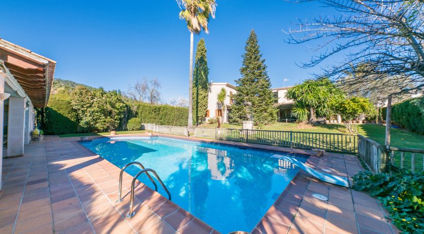 Photo of All the Frills