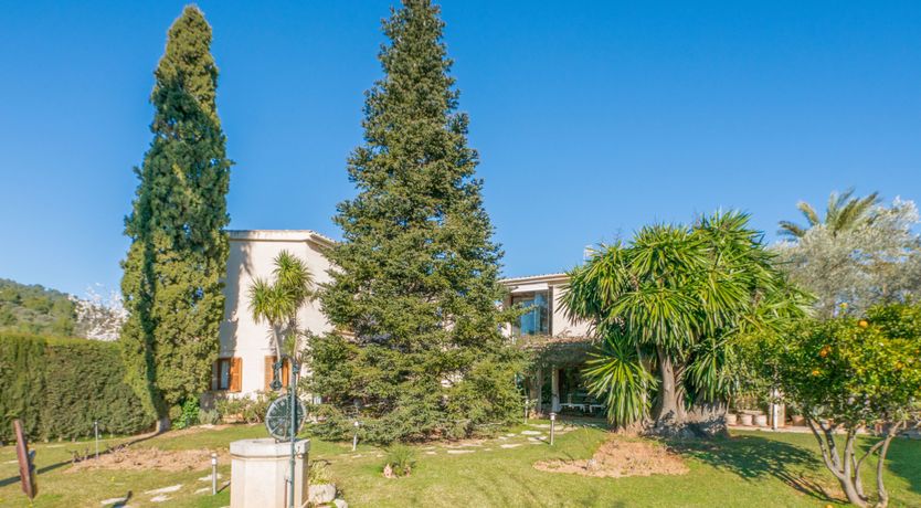 Photo of All the Frills