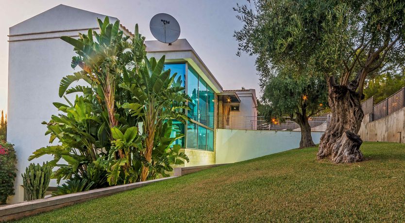 Photo of The Oasis of the Ocean