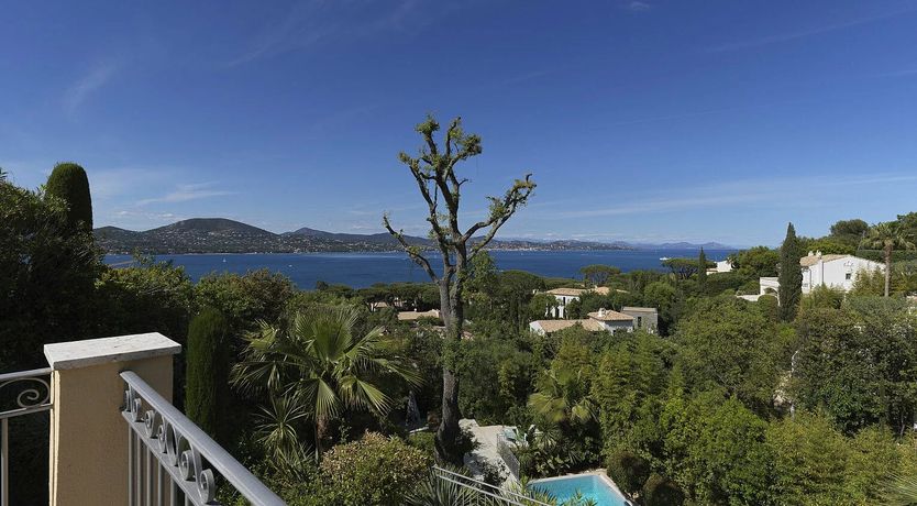 Photo of Vintage Tranquility