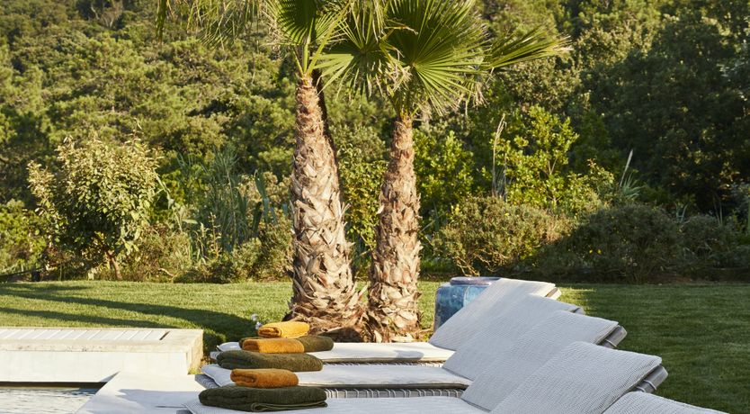 Photo of The Saint Of Summertime