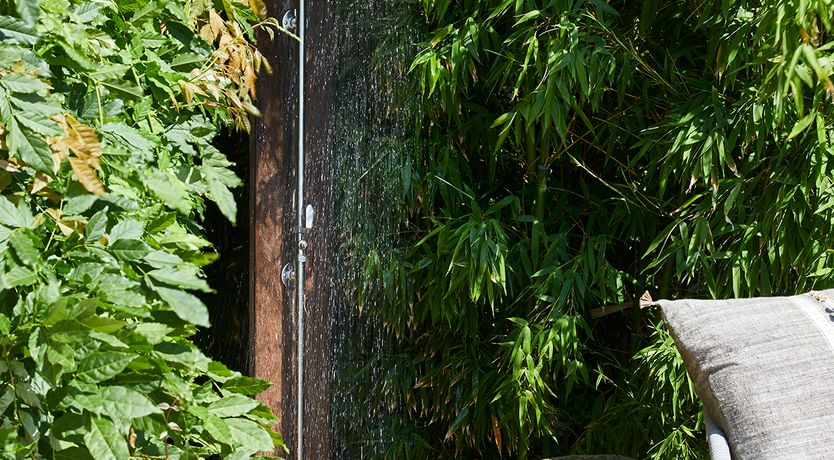 Photo of The Saint Of Summertime