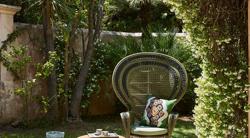 Photo of The Saint Of Summertime