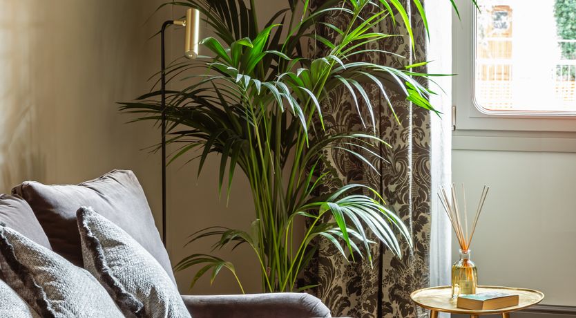 Photo of Florence Dream