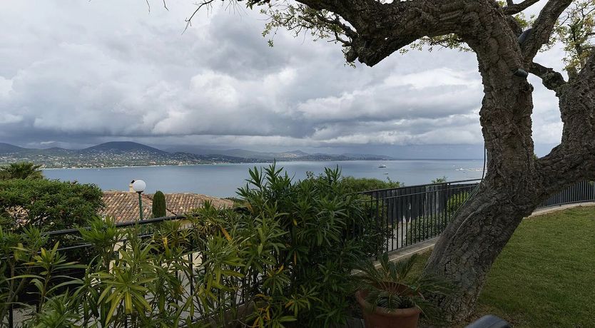 Photo of A Moonflower's Dream