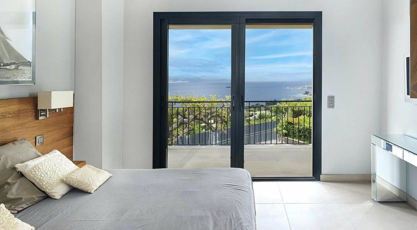 Photo of A Moonflower's Dream