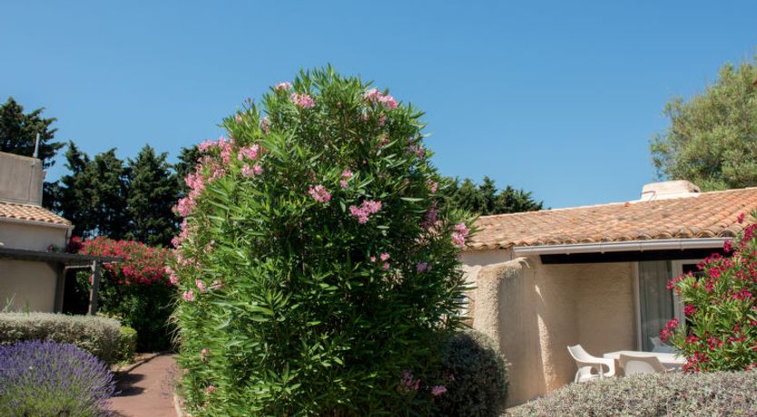 Photo of Sowell Résidence Les Lauriers Roses Apartment 5