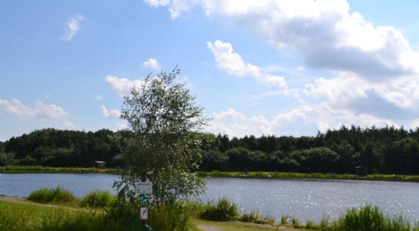 Photo of "Alvira" - 30km from the sea