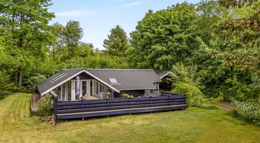 Photo of "Mila" - 30km from the sea